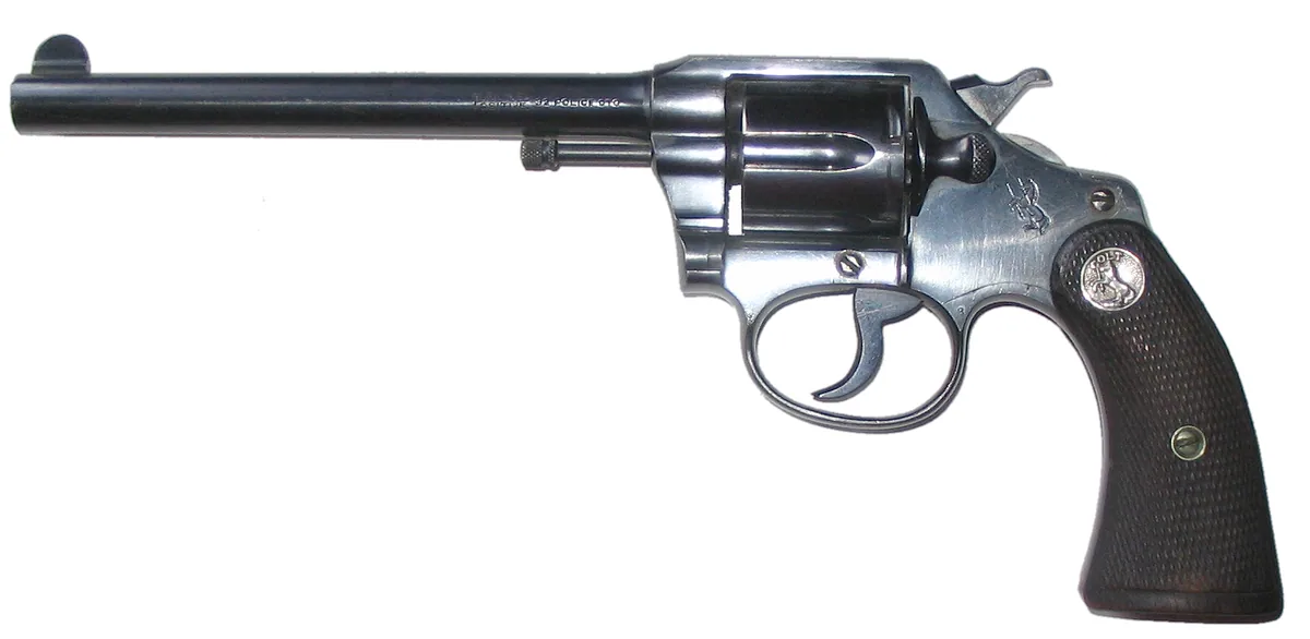 Colt Police Positive by Colt