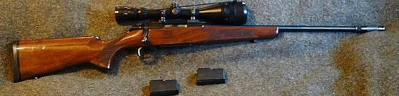 Browning A-Bolt by Browning
