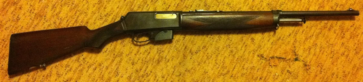 Model 1910 by Winchester